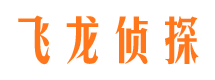 东河婚外情调查